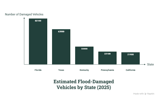 Top 5 U.S. States With the Most Flood-Damaged Vehicles (2025)