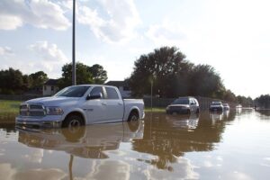 Flood damaged cars